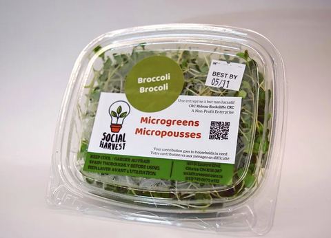 Social Harvest, Broccoli Microgreens, 50 g