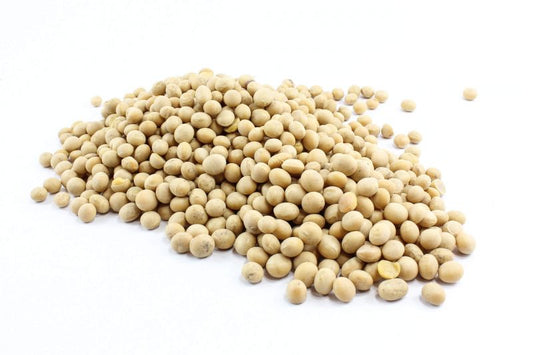 Abenakis (BLK)  Organic Soybeans, 5kg