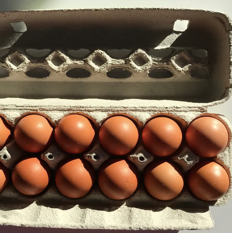 Gros œufs de poules en liberté de catégorie A de la Ferme Reveuse (douzaine)