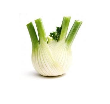 Fennel