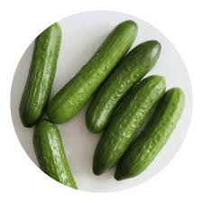 Lebanese cucumbers - Pack of 6