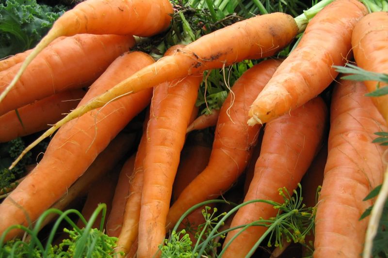 Nantes carrots (lb)