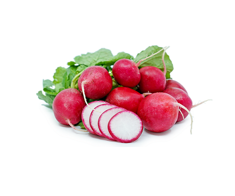 Red radish (bunch)