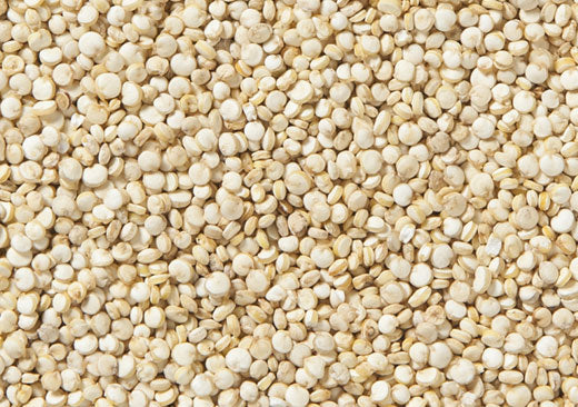 Quinoa blanc des Abénakis, 350g